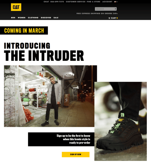 Introducing the Intruder